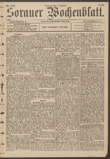 Sorauer Wochenblatt, Nr. 293. (17. Dezember 1895)