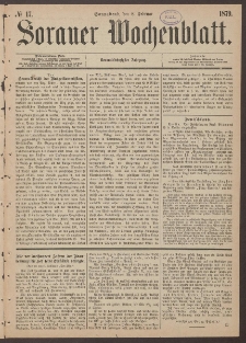 Sorauer Wochenblatt, No. 17. (8. Februar 1879)