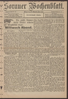 Sorauer Wochenblatt, Nr. 131. (6. Juni 1897)