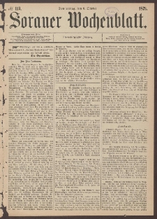 Sorauer Wochenblatt, No. 119. (9. October 1879)