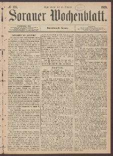 Sorauer Wochenblatt, No. 123. (18. October 1879)