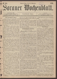 Sorauer Wochenblatt, No. 134. (13. November 1879)