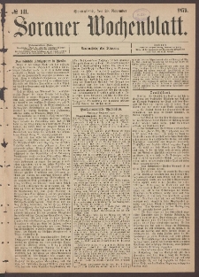 Sorauer Wochenblatt, No. 141. (29. November 1879)
