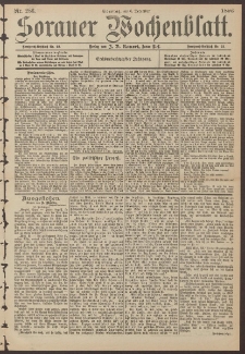 Sorauer Wochenblatt, No. 286. (6. November 1896)