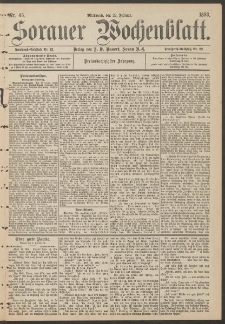 Sorauer Wochenblatt, Nr. 45. (22. Februar 1893)