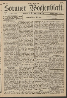 Sorauer Wochenblatt, Nr. 125. (2. Juni 1893)