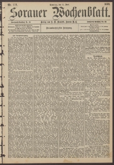 Sorauer Wochenblatt, Nr. 133. (11. Juni 1893)