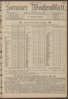 Sorauer Wochenblatt, Nr. 138. (17. Juni 1893)