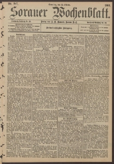 Sorauer Wochenblatt, Nr. 247. (22. Oktober 1893)