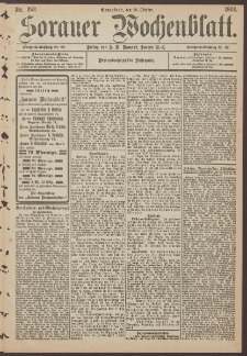 Sorauer Wochenblatt, Nr. 252. (28. Oktober 1893)