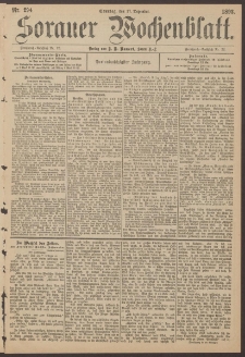 Sorauer Wochenblatt, Nr. 294. (17. Dezember 1893)