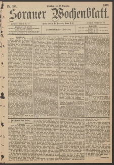 Sorauer Wochenblatt, Nr. 295. (19. Dezember 1893)