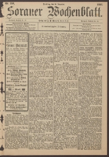 Sorauer Wochenblatt, Nr. 298. (22. Dezember 1893)