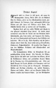 Die Juden von Zirndorf - Drittes Kapitel