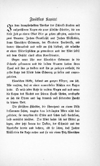 Die Juden von Zirndorf - Zw&ouml;lftes Kapitel