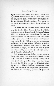 Die Juden von Zirndorf - Vierzehntes Kapitel