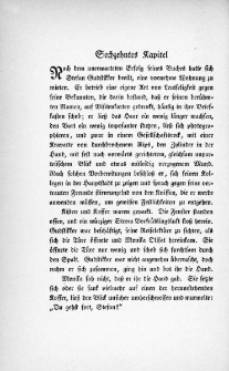 Die Juden von Zirndorf - Sechzehntes Kapitel