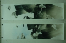 Monotypie - relacja fotograficzna (fot. 1)