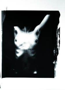 Z zacisza - relacja fotograficzna z wernisażu (fot. 6)