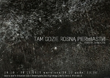 Tam gdzie rosną pierwiastki - relacja fotograficzna z wernisażu (fot. 9)