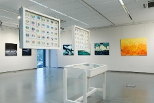 Dyplomy 2015 - Malarstwo - relacja fotograficzna (fot. 5)