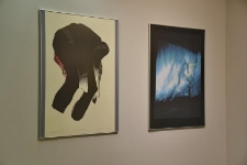 R&oacute;żnorodność - fotografie (fot. 4)