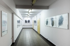Mutacje - fotografie (fot. 1)