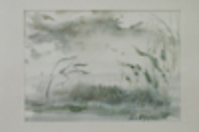 Pejzaż z Lubniewic I