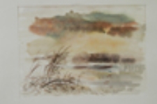 Pejzaż z Lubniewic III